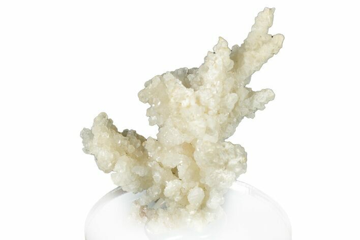 Intricate, Fluorescent Aragonite Formation - Nevada #295287